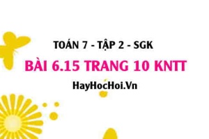 Bài 6.15 trang 10 Toán 7 Tập 2 Kết nối tri thức